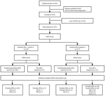 Diagnostic utility of movement disorder society criteria for multiple system atrophy